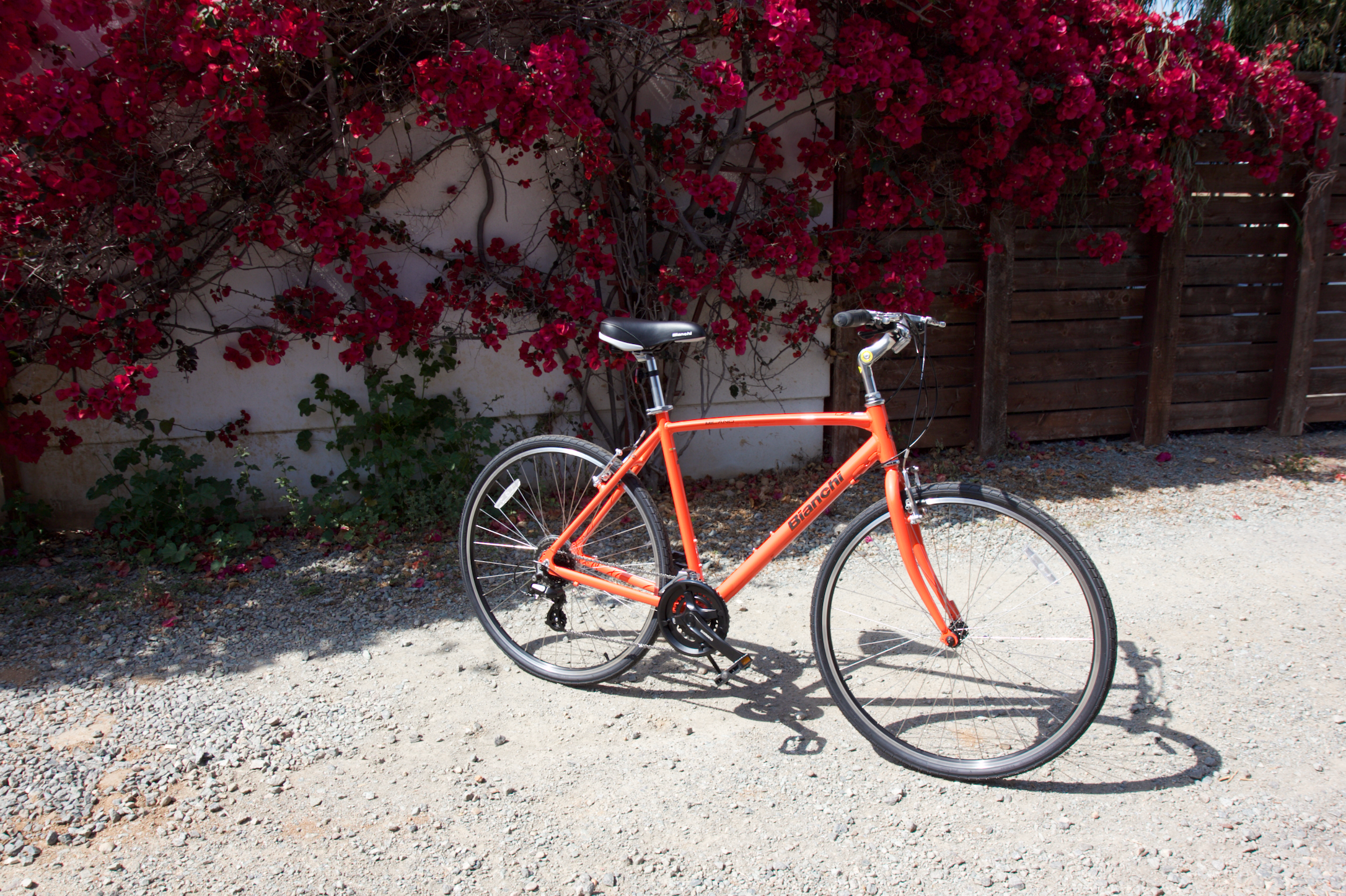 Bianchi Milano Altus in Orange at Leucadia Cyclery