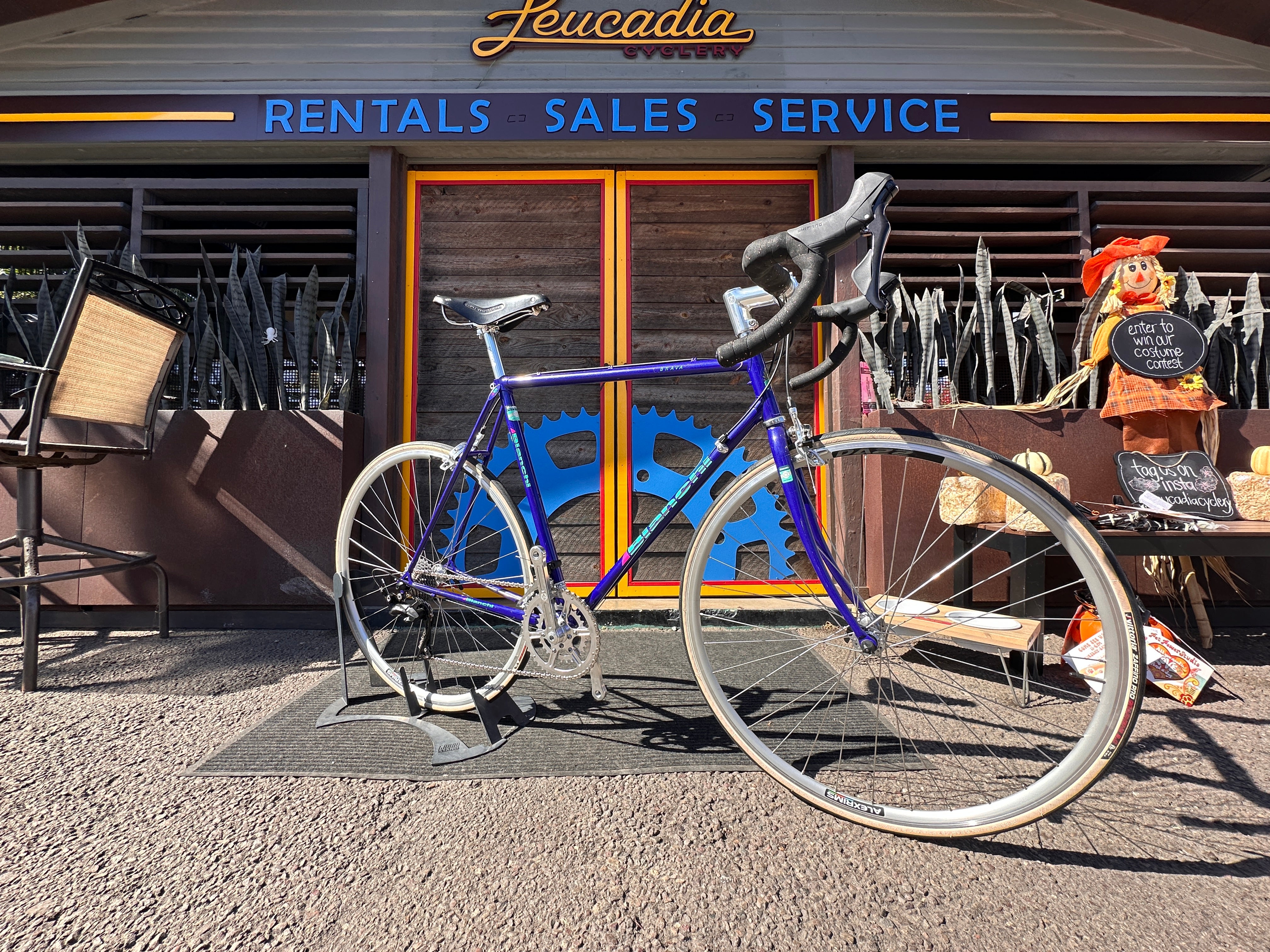 Bianchi Brava 55