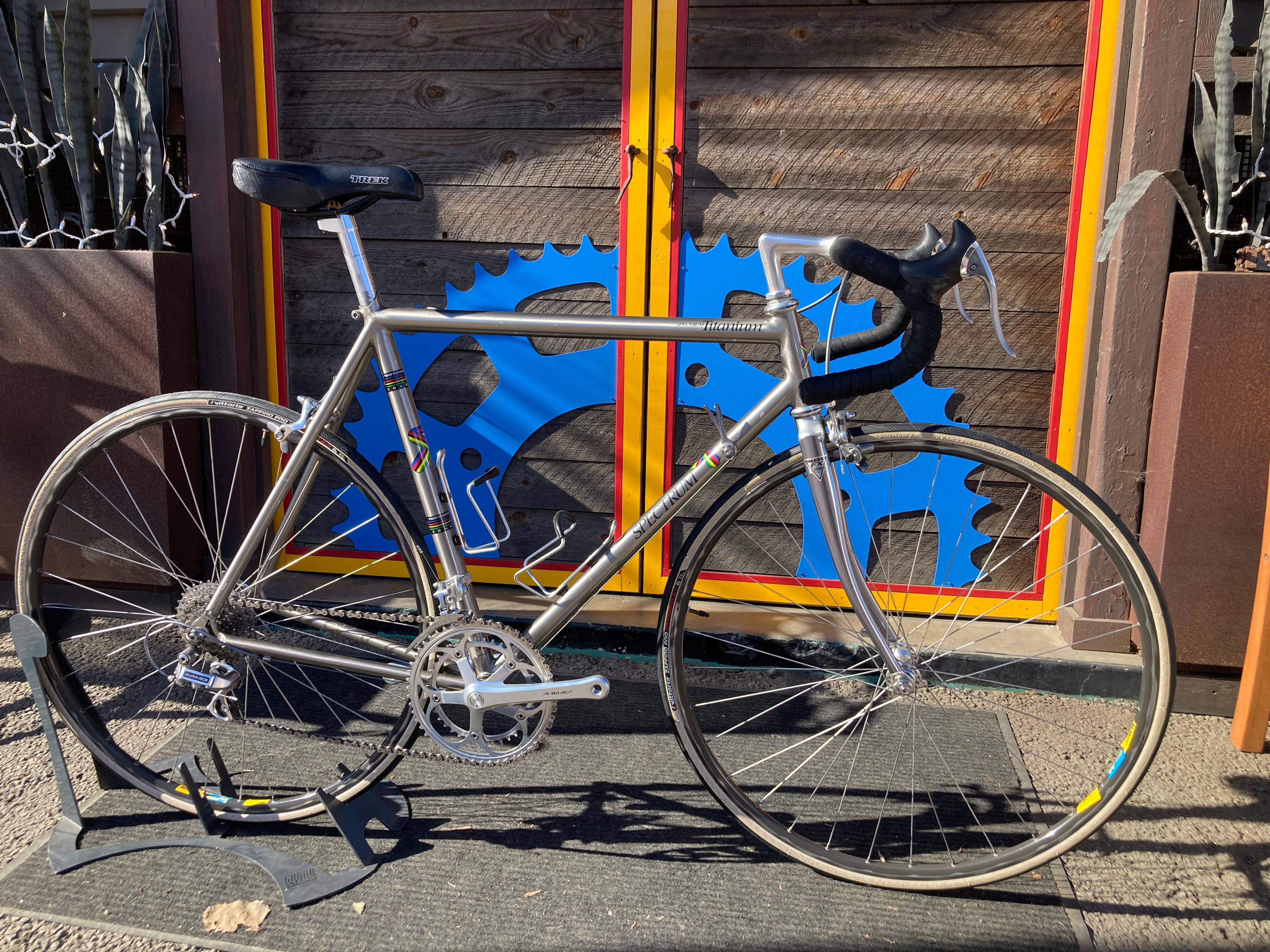 Spectrum Titanium Bike