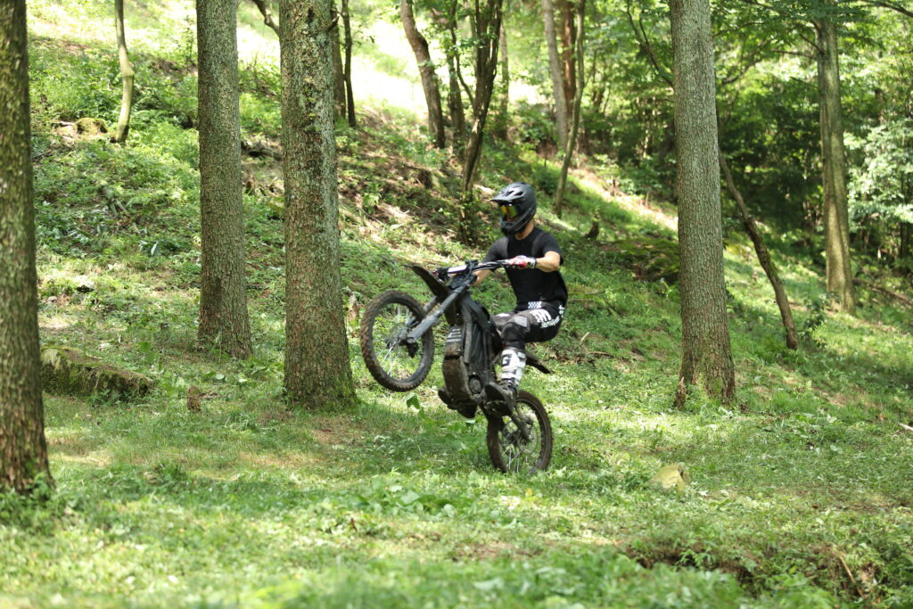 E-Ride Pro S