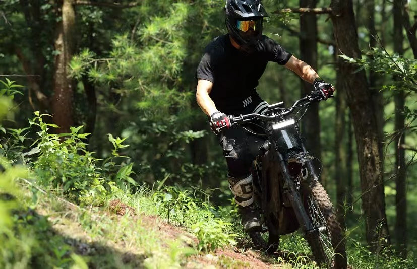E-Ride Pro S