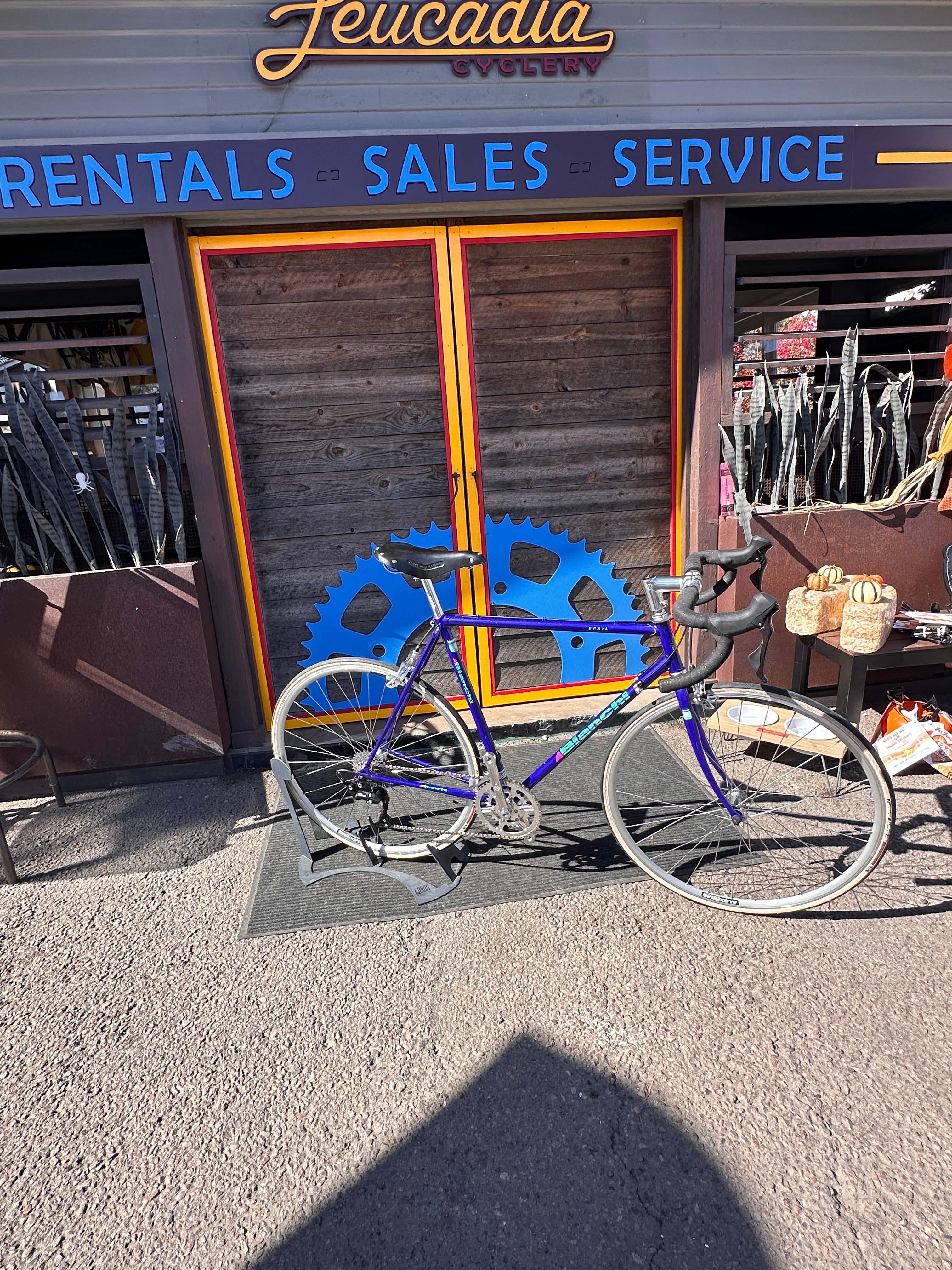 bianchi bicycle dealers usa E-Oltre Ultegra Di2 2x12 Oltre Ultegra Di2 2x12 Bianchi opens new store in