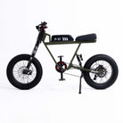 Electric Bike - P51
