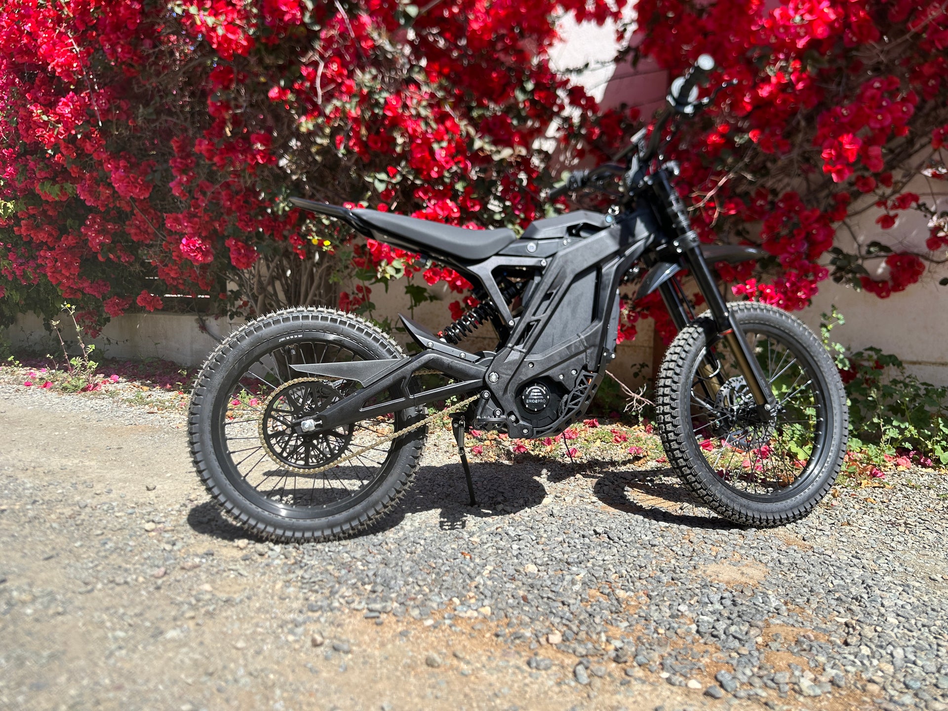 Leucadia Cyclery - Main Image