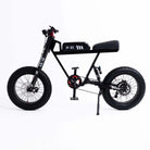 P-51 Electric Bike